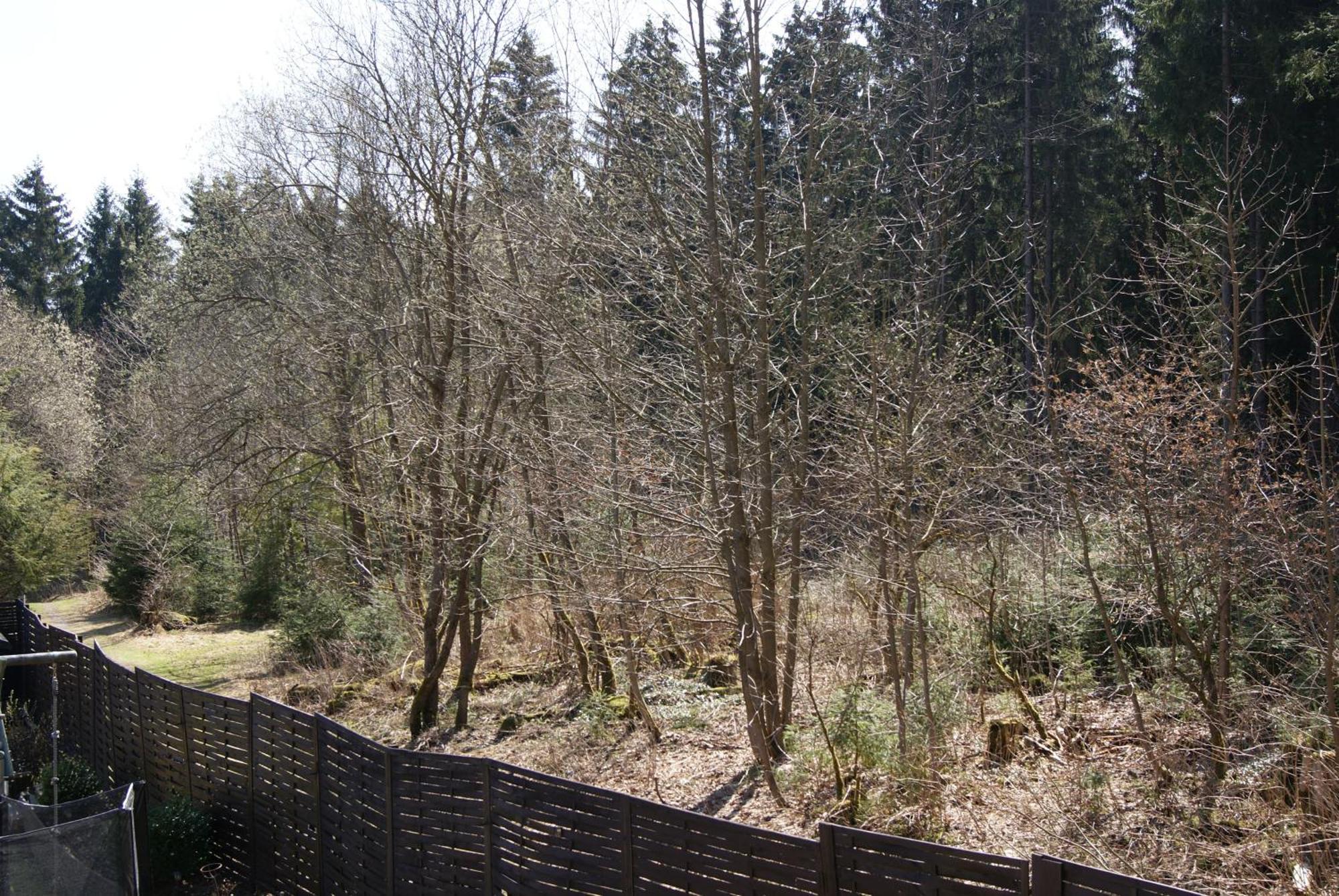 Ferienwohnung Schmidt Braunlage Ruang foto